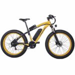 Bicicletas eléctricas de 1000 w